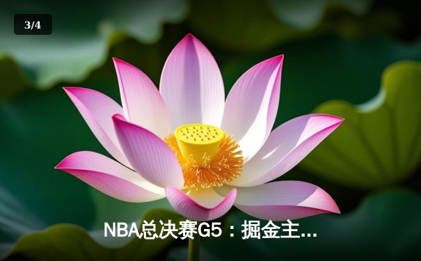 NBA总决赛G5：掘金主场力克热火，约基奇全能表现率队夺得赛点 - 3